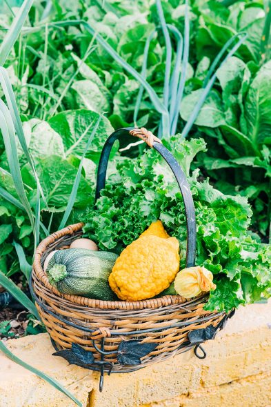 Το πιο καλά κρυμμένο μυστικό για φαγητό στα νότια θα το βρεις σε ένα περιβόλι (στη Βάρη)