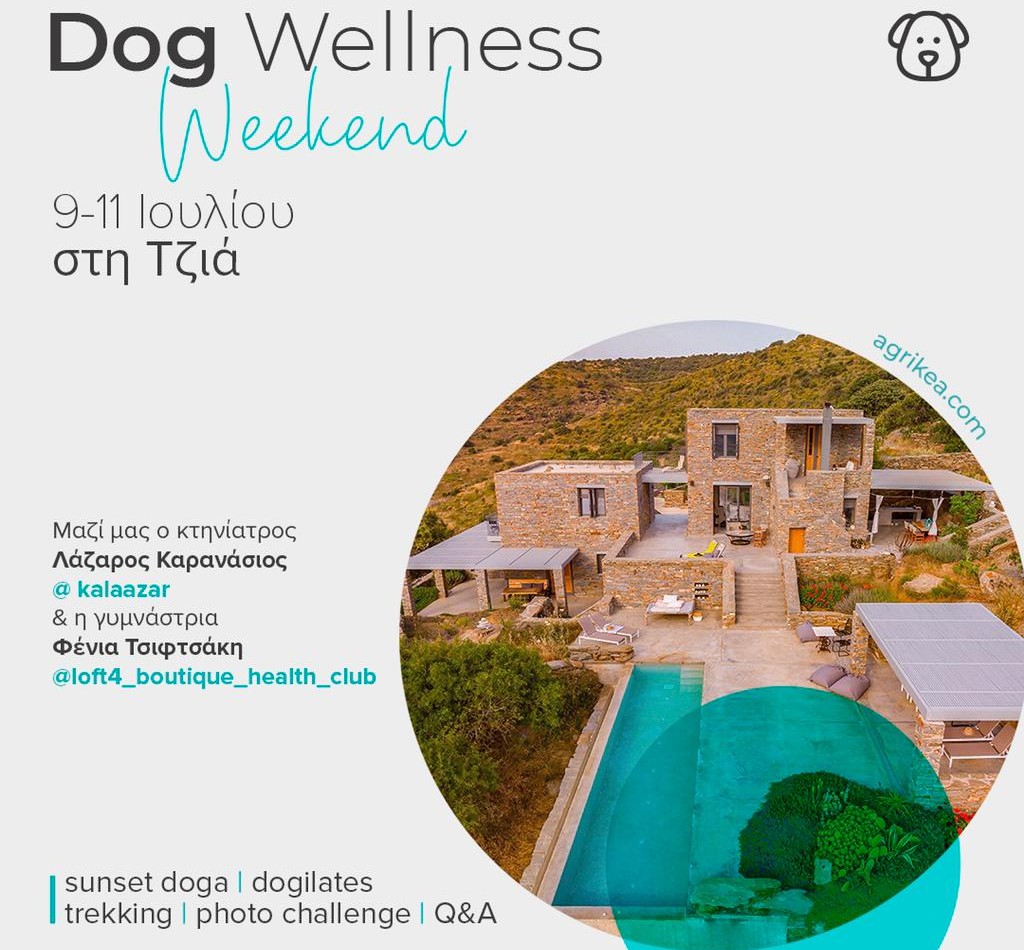 Dog Wellness Weekend στη Τζια