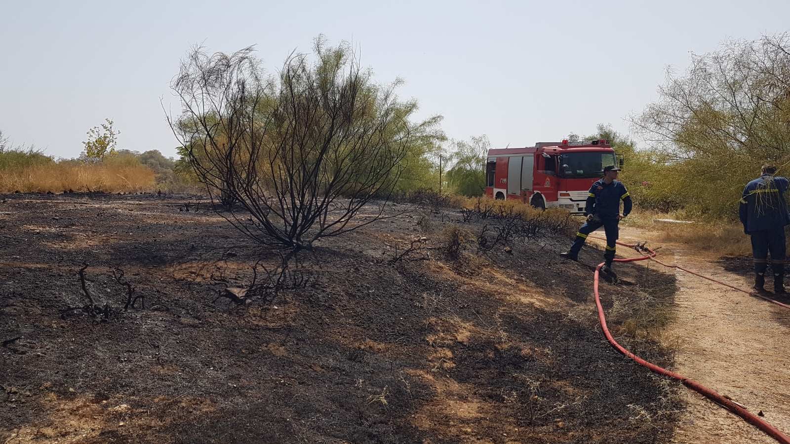 «Τι πράσινο έχει ο Άλιμος για να καεί;»: Ο Δήμος Αλίμου καταγγέλλει την Πολιτική Προστασία για αδιαφορία