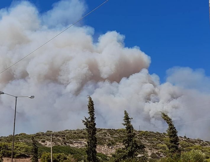 Φωτιά στην Κερατέα- Εκκένωση της περιοχής Μαρκάτι