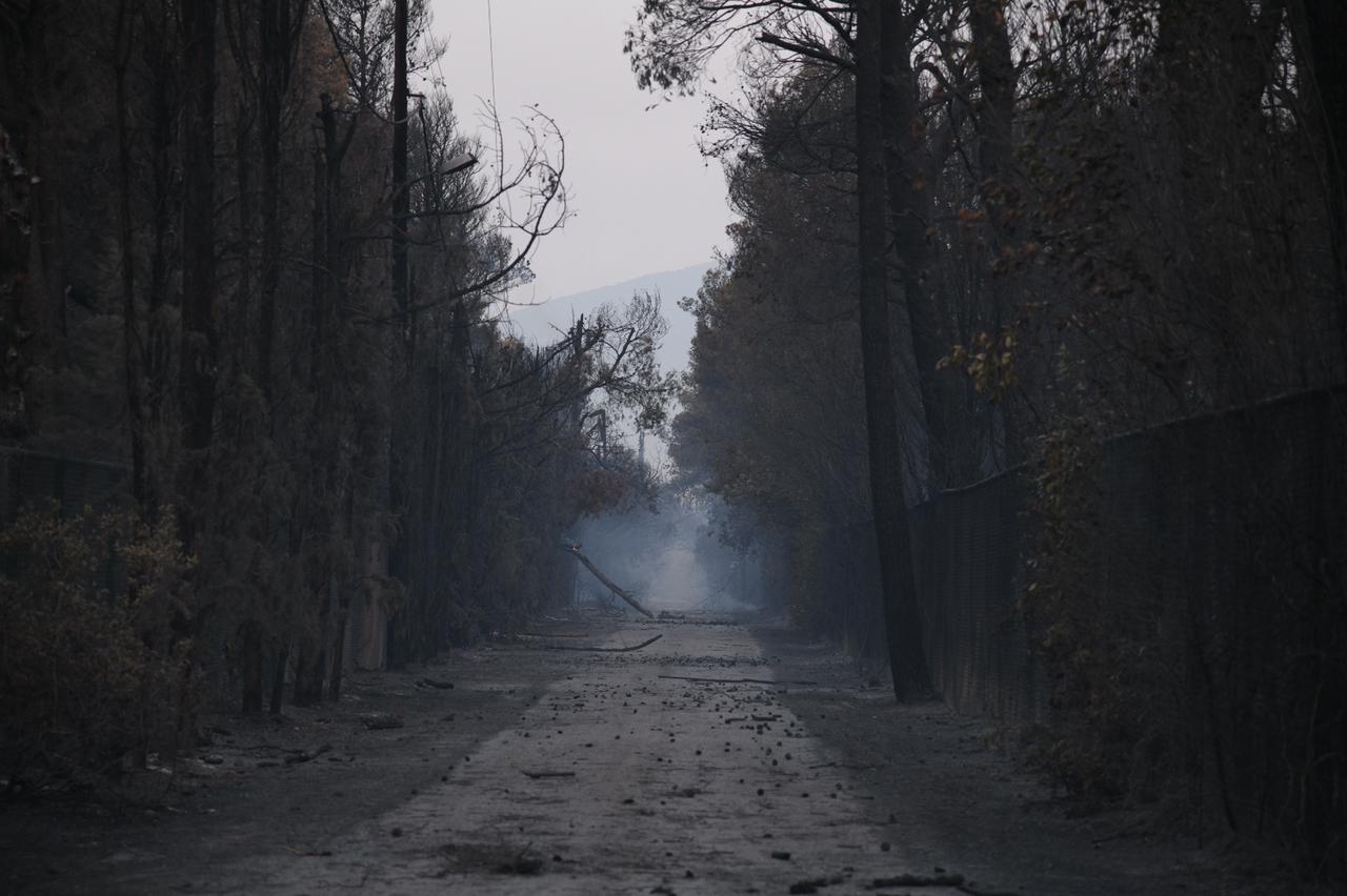 Γλυφάδα: Παραχώρηση χώρου για τη φιλοξενία ζώων από τις πυρόπληκτες περιοχές