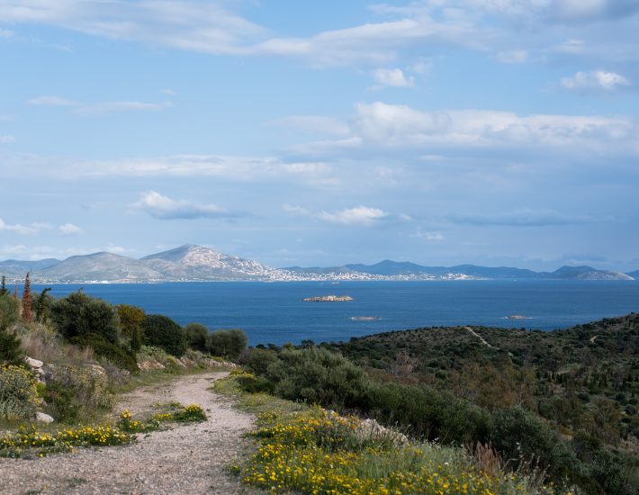 Βουλιαγμένη: Πεζοπορία στον λόφο της Φασκομηλιάς