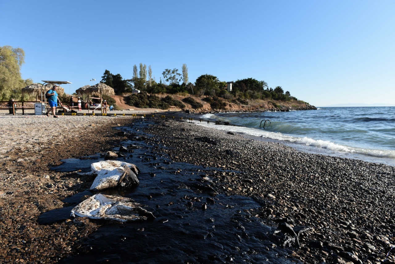«Ένα έγκλημα χωρίς τιμωρία»- Η επίσημη ανακοίνωση της WWF για το ναυάγιο «Αγία Ζώνη ΙΙ»