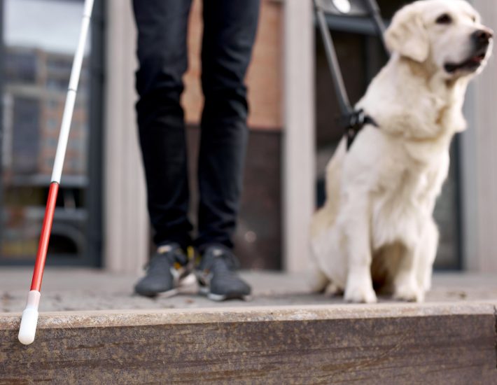 Μέσα από τα μάτια ενός ατόμου με οπτική αναπηρία (και του σκύλου οδηγού του)