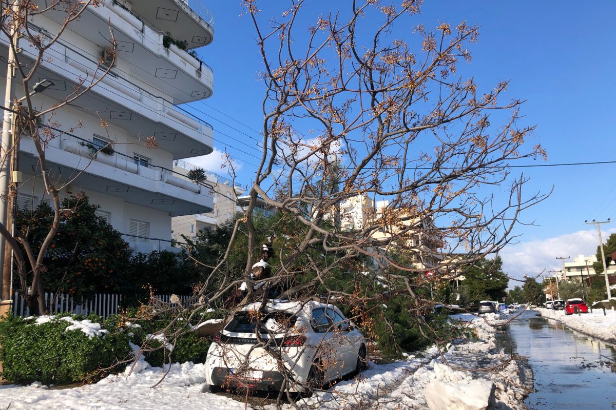 Δήμος Γλυφάδας: Αποζημίωση για ζημιές αυτοκινήτων λόγω πτώσης δέντρων