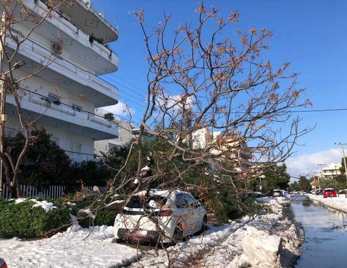 Δήμος Γλυφάδας: Αποζημίωση για ζημιές αυτοκινήτων λόγω πτώσης δέντρων