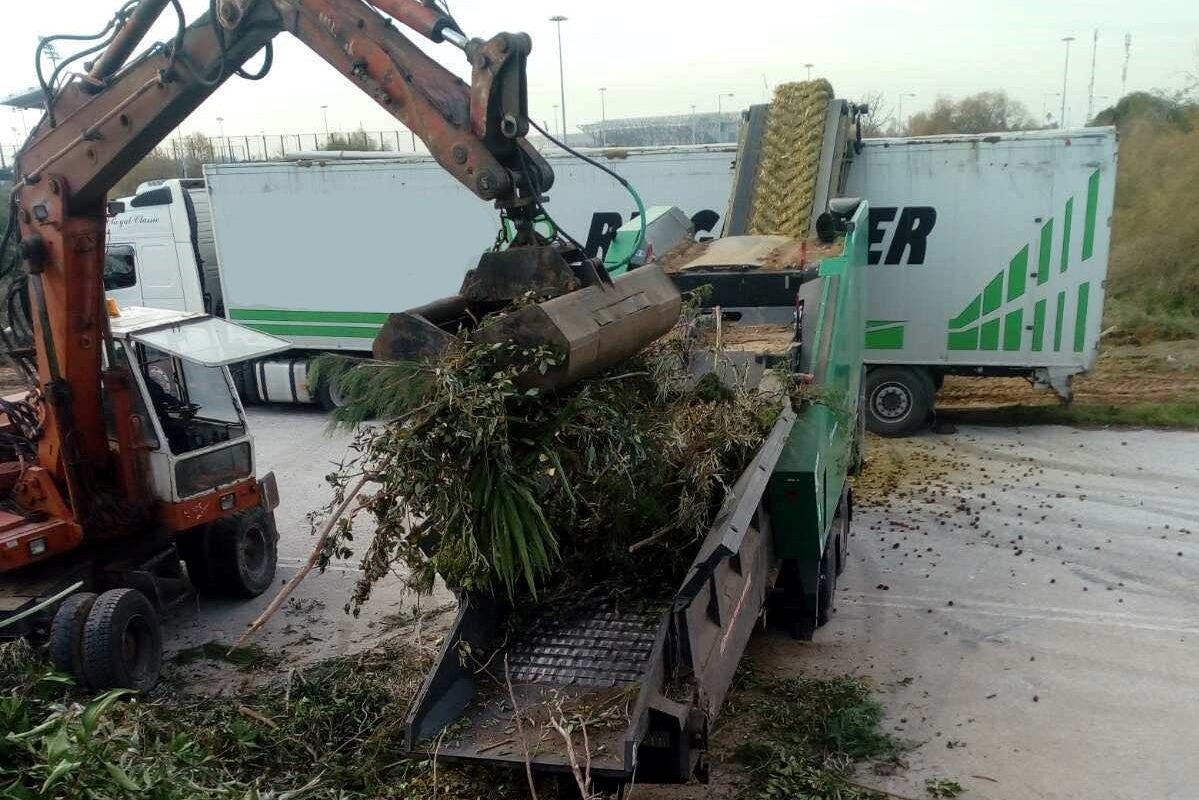 Ο Δήμος Αλίμου εξηγεί γιατί δεν μοίρασε τα κλαδιά των σπασμένων δέντρων από την κακοκαιρία “Ελπίς” για κάψιμο στο τζάκι