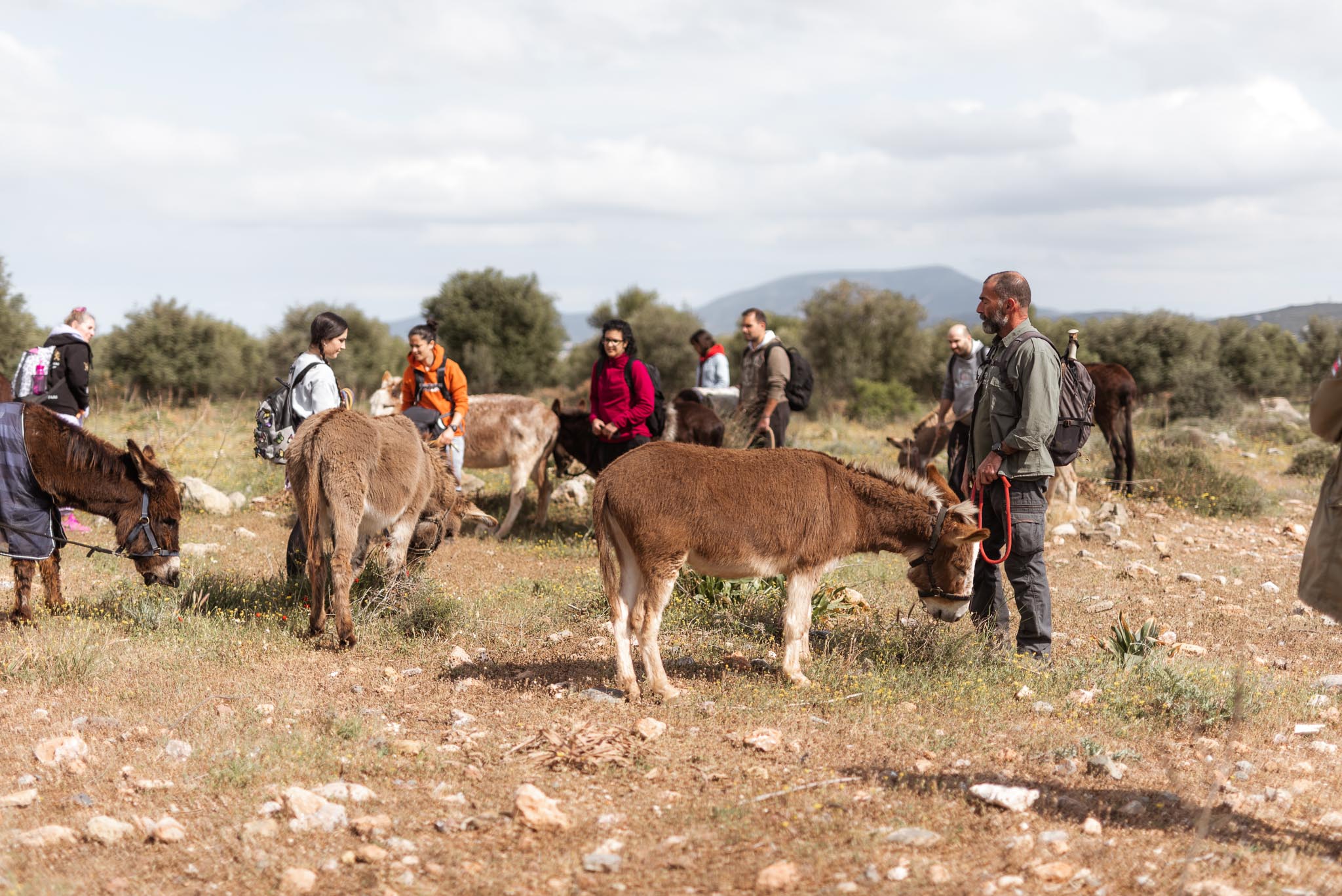 Γαϊδουροχώρα