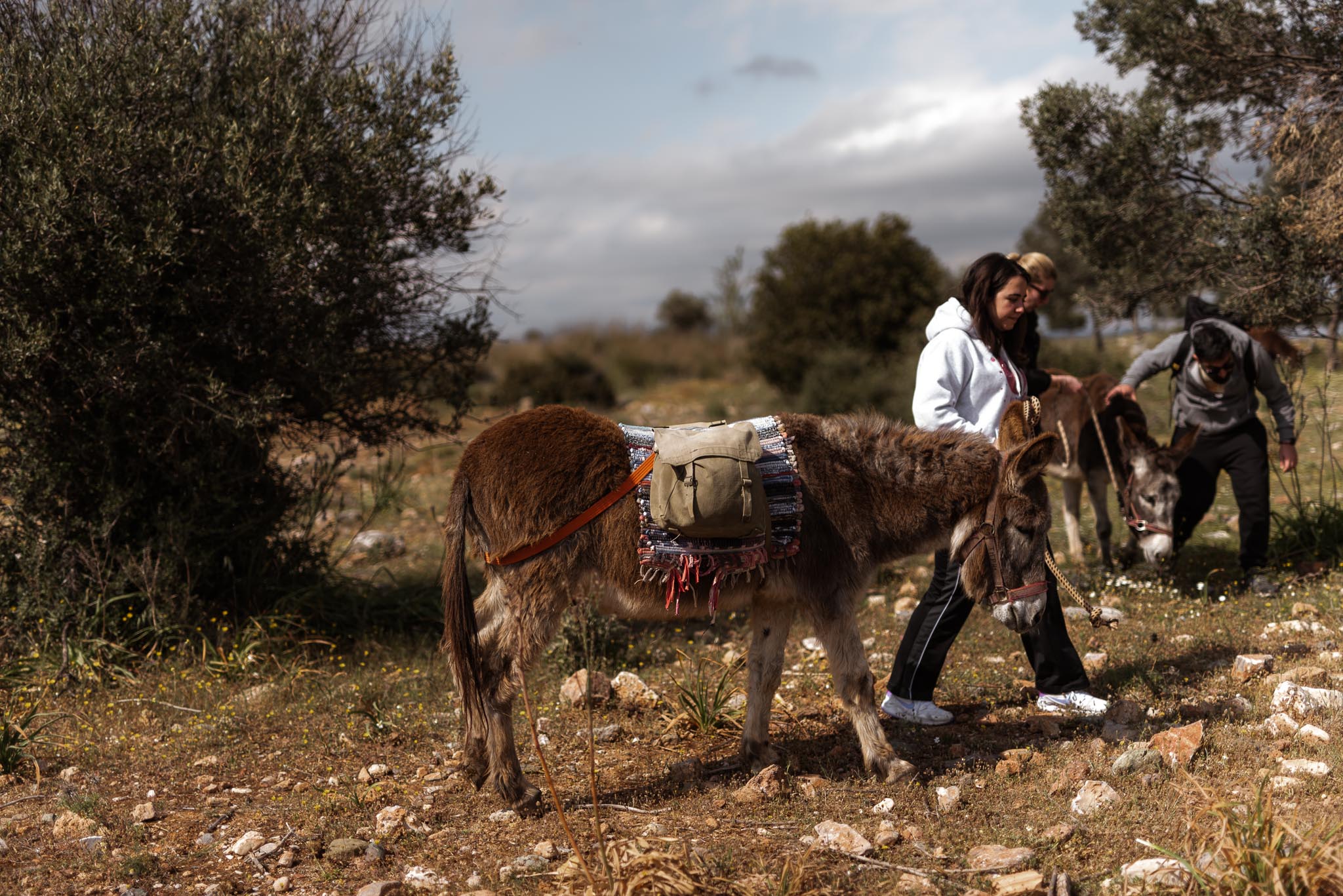 Γαϊδουροχώρα