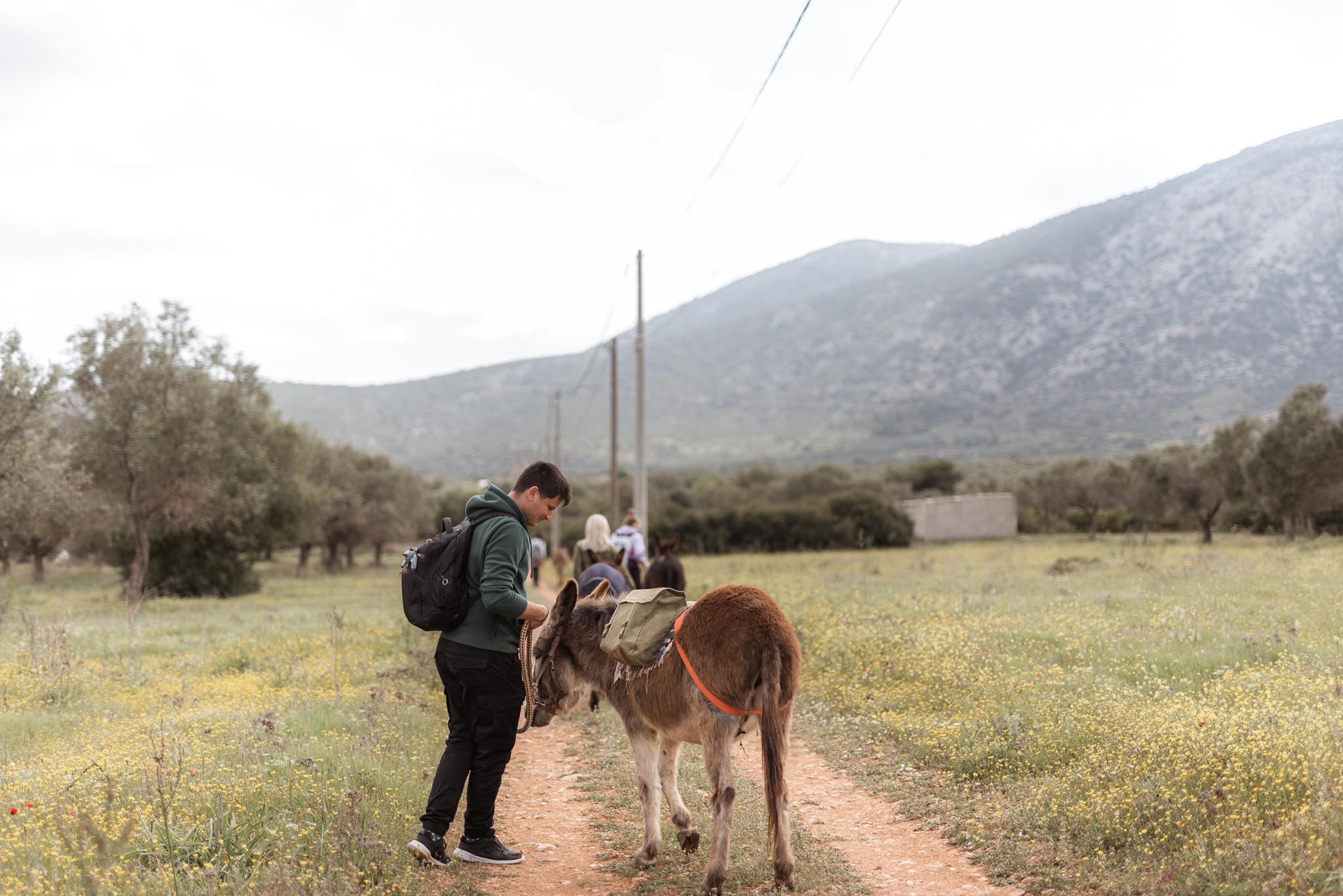 Γαϊδουροχώρα
