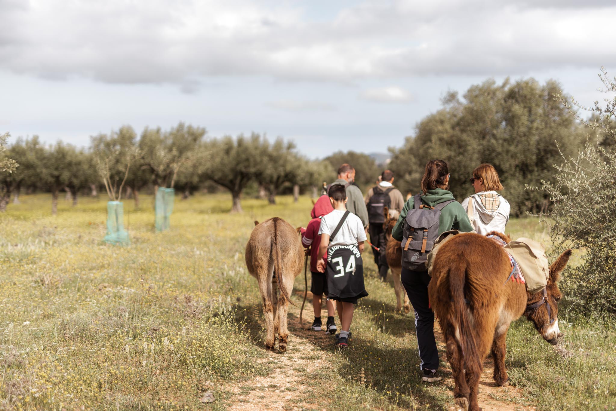 Γαϊδουροχώρα