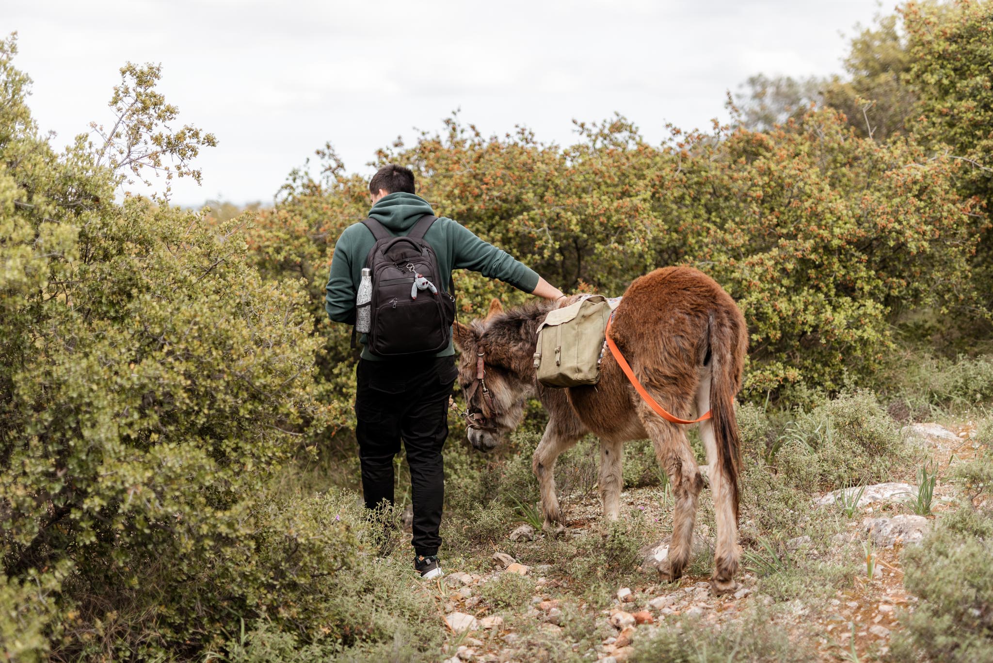 Γαϊδουροχώρα