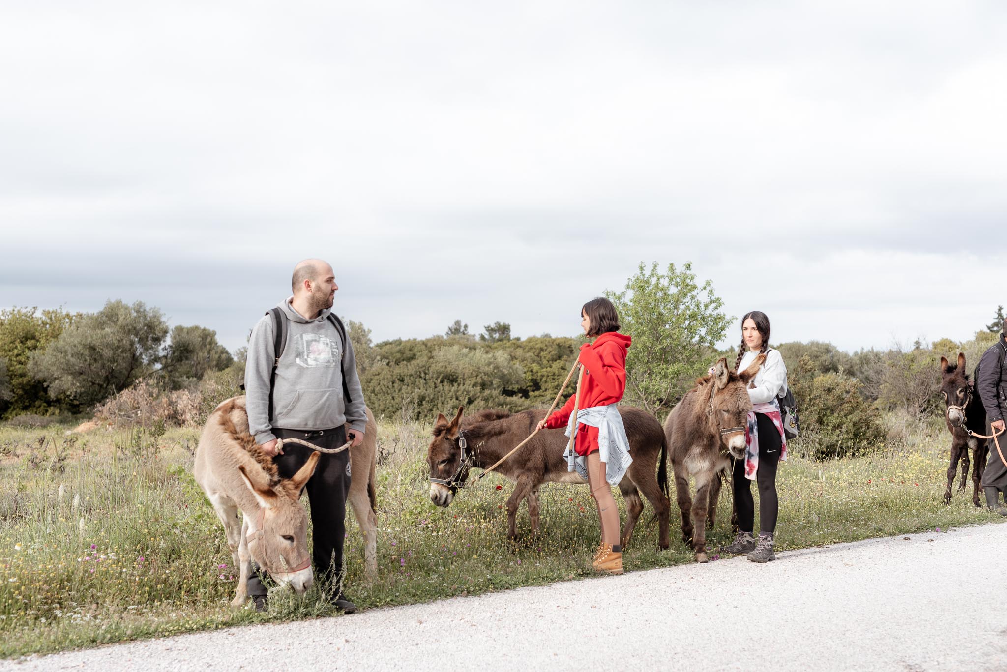 Γαϊδουροχώρα