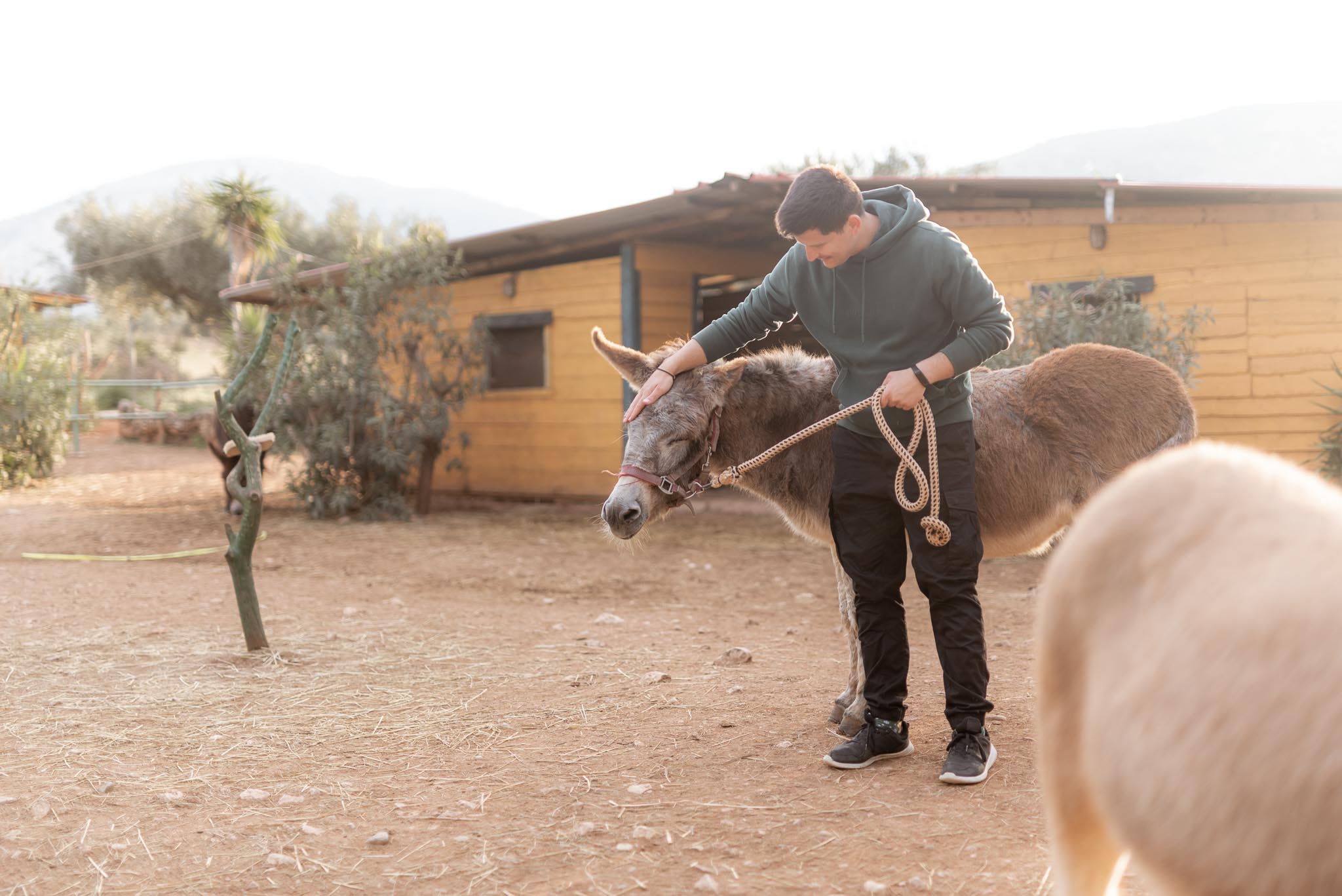 Γαϊδουροχώρα