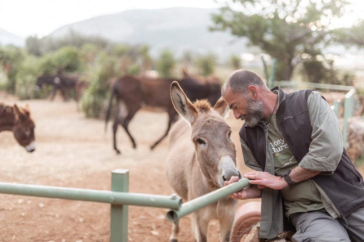 Γαϊδουροχώρα