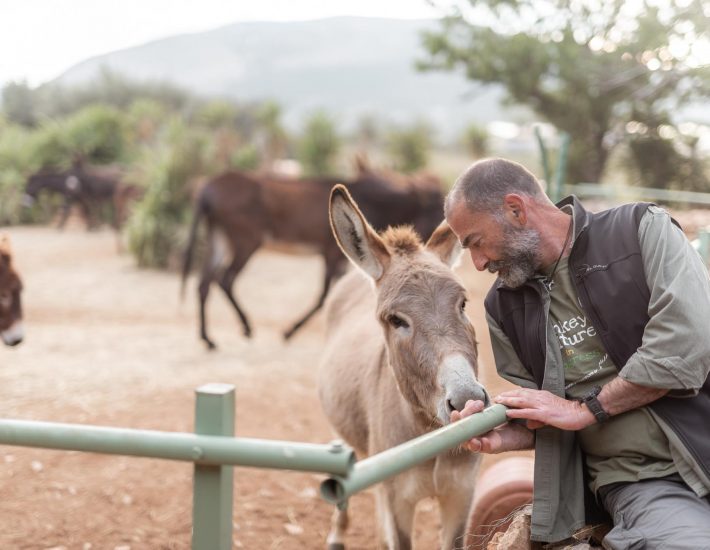 Γαϊδουροχώρα