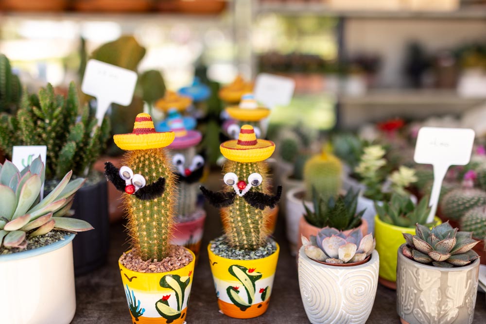 Γιορτή Λουλουδιών