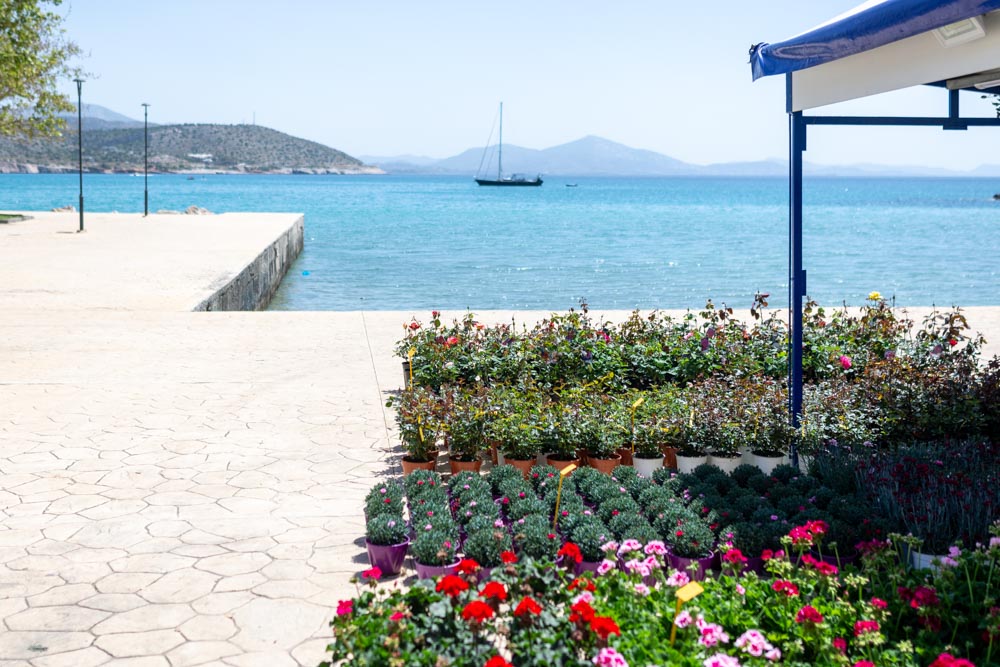 Γιορτή Λουλουδιών