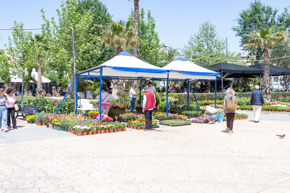 Γιορτή Λουλουδιών