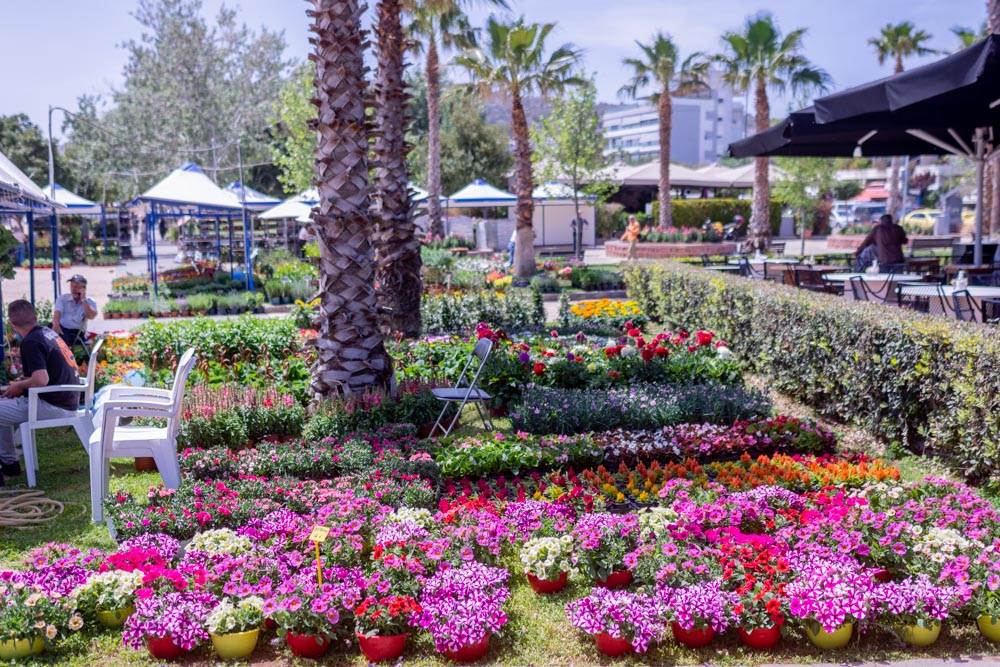 Γιορτή Λουλουδιών