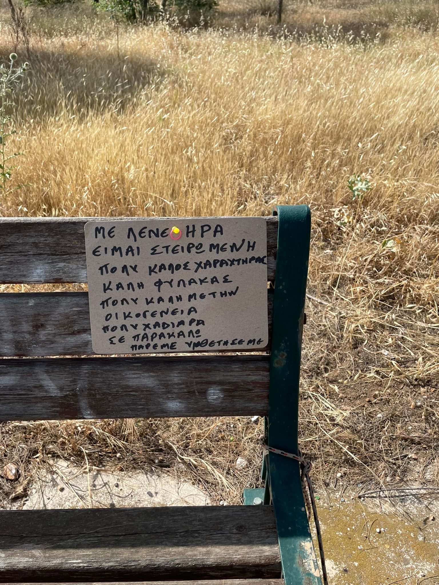 Ήρα σκυλίτσα Βουλιαγμένη