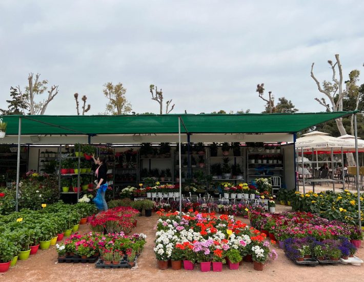 Αυτό το Σαββατοκύριακο, επισκεπτόμαστε την ανθοκομική έκθεση Νέας Σμύρνης στο καταπράσινο Άλσος