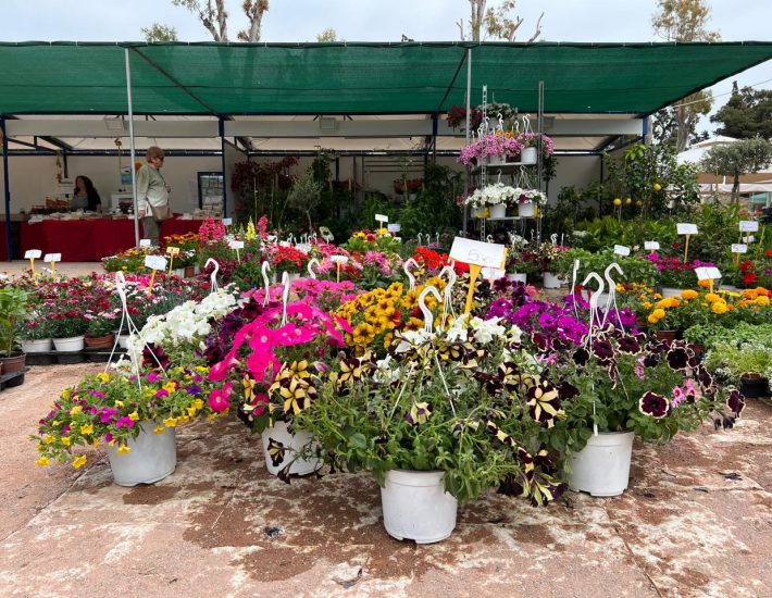 Η ανθοκομική έκθεση της Νέας Σμύρνης επιστρέφει στο Άλσος