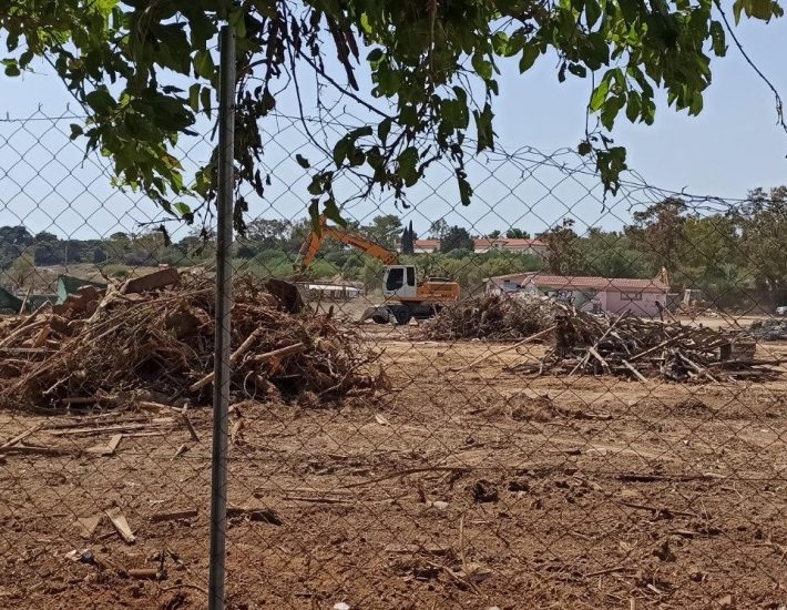 Κάμπινγκ Βούλας: Όσα έδειξε η αυτοψία μετά τις καταγγελίες για παράνομη κοπή δέντρων