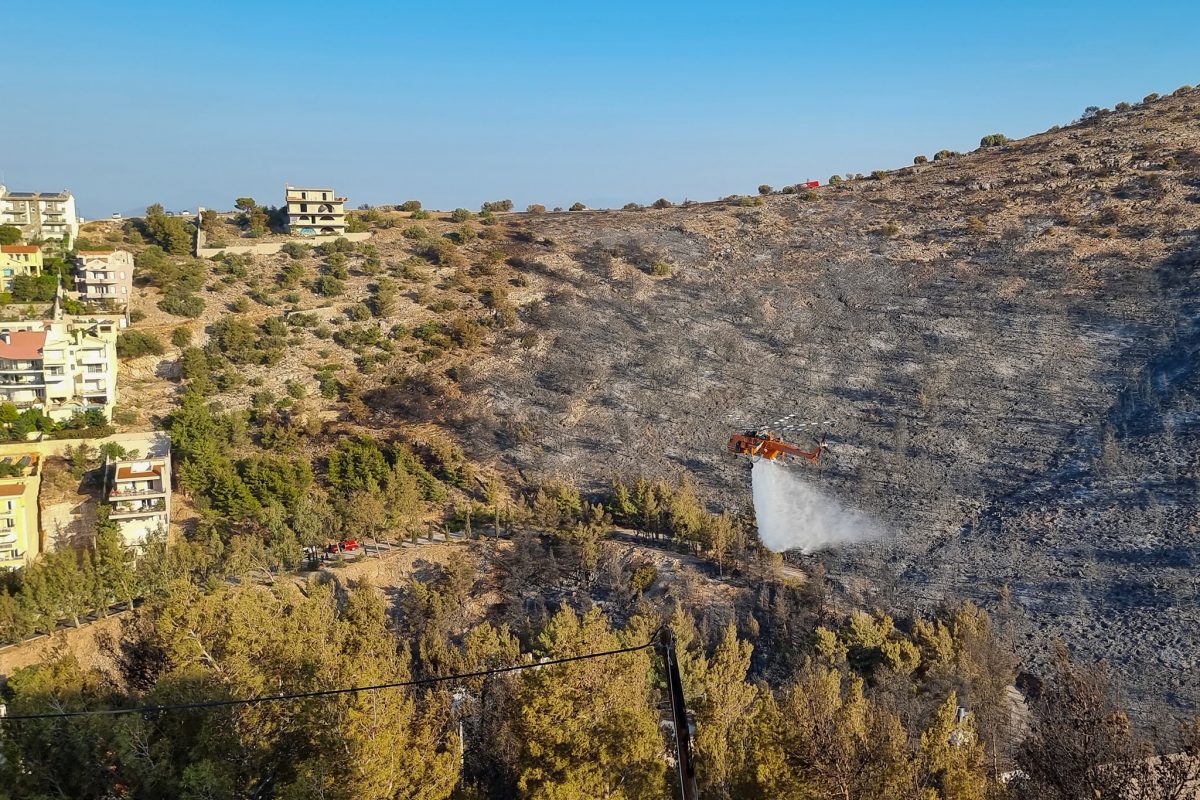 Βούλα: Ποια είναι η κατάσταση στο δάσος έναν χρόνο μετά την καταστροφική πυρκαγιά