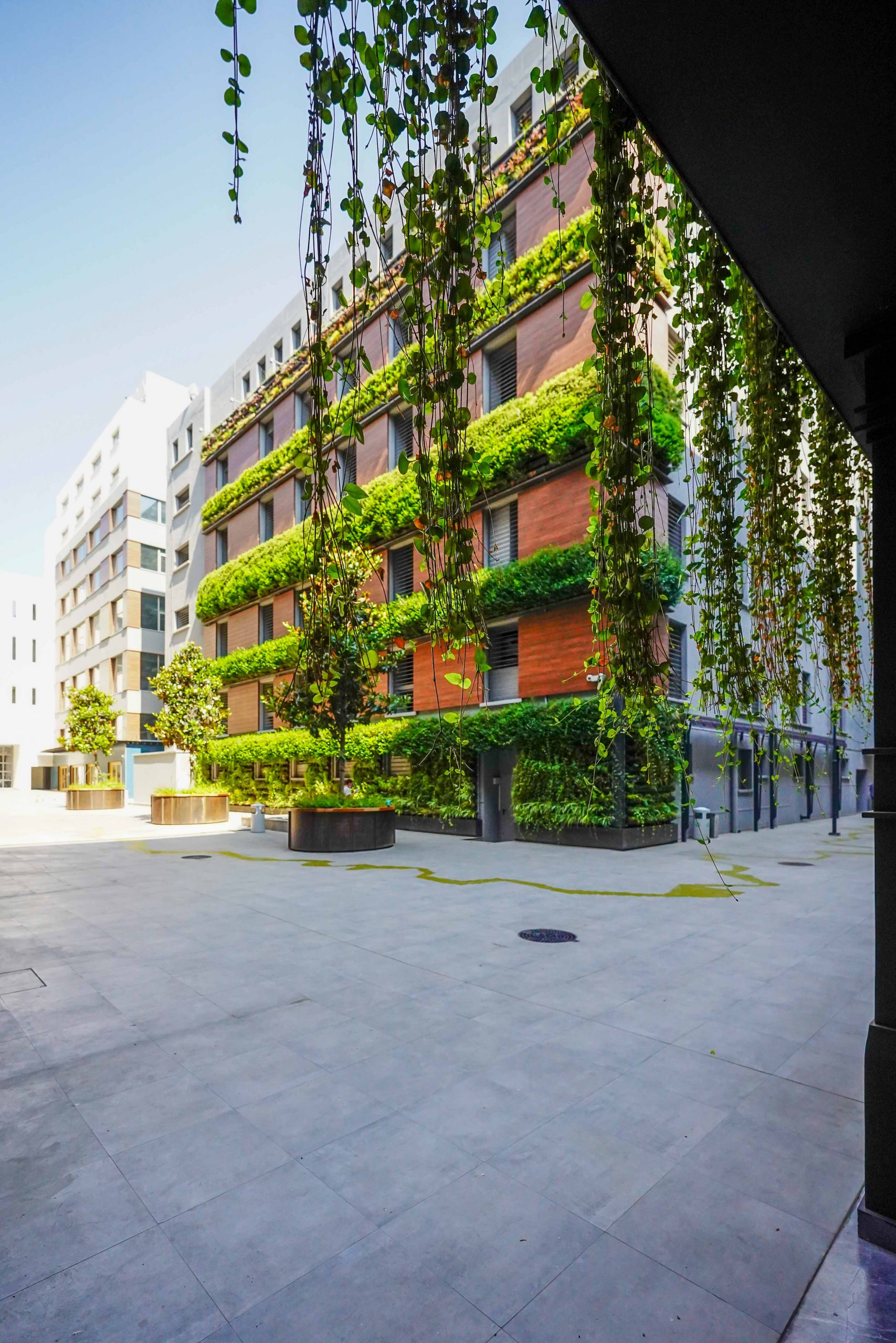 Πειραιάς - Ανάπλαση Αγίου Διονυσίου - Piraeus Port Plaza