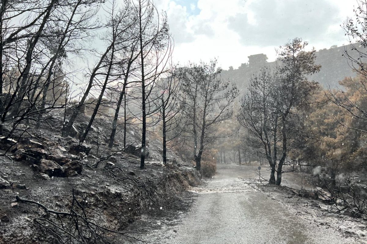 Βούλα: Η πρώτη βροχή μετά τη φωτιά [ΕΙΚΟΝΕΣ]