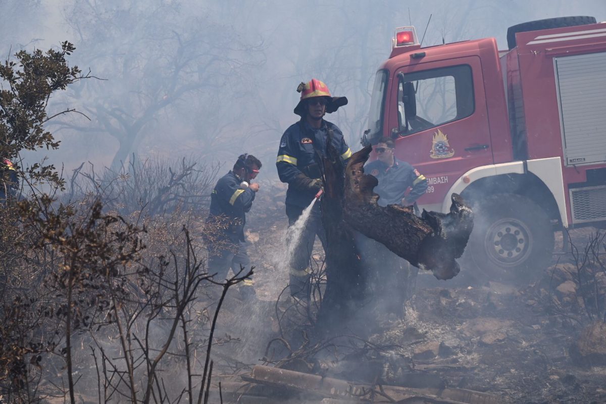 Φωτιά στην περιοχή Φέριζα, κοντά στην Ανάβυσσο [ΕΙΚΟΝΕΣ]