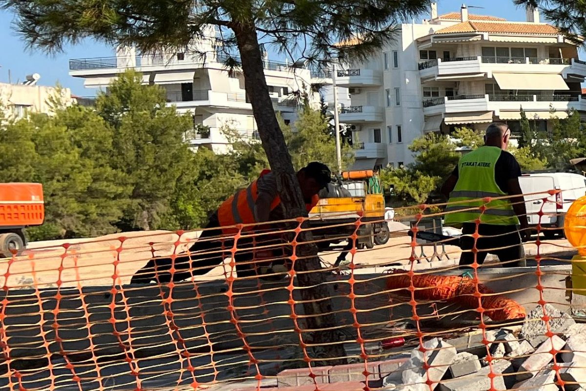 Καταγγελία: «Ο Δήμος Γλυφάδας έκοψε υγιές πεύκο, επειδή ενοχλούσε»