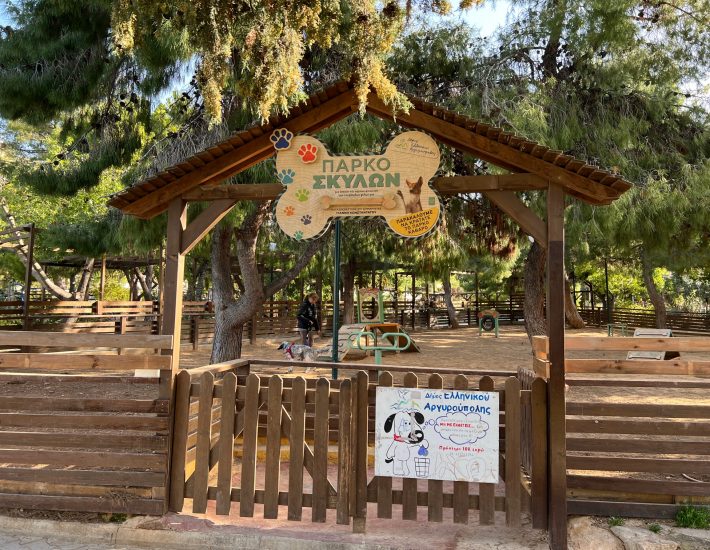 Πάρκα Σκύλων στα νότια προάστια: Πού υπάρχουν και πόσο χρήσιμα είναι τελικά;