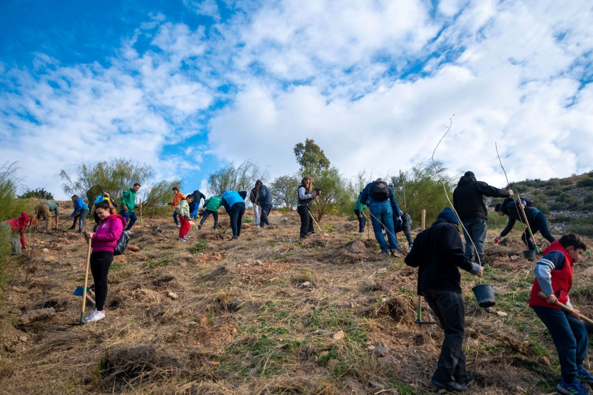 Υμηττός: Ξεκίνησε νέος κύκλος δεντροφυτεύσεων