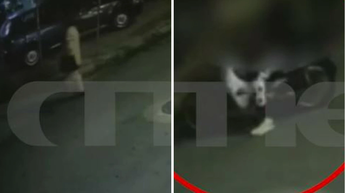 Ηλιούπολη: Συνελήφθη άνδρας που έκλεβε τσάντες από ηλικιωμένες [ΒΙΝΤΕΟ]