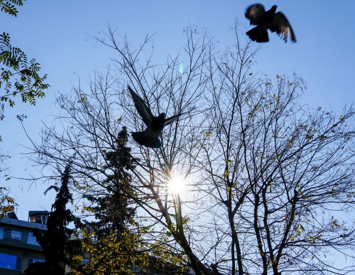 Ειδικοί για τις ασυνήθιστα υψηλές θερμοκρασίες για την εποχή: «Μόλις στο 0,1% η χιονοκάλυψη»