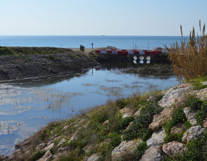ΠΑΚΟΕ: «Τεράστιο πρόβλημα για τη δημόσια υγεία, τα απόβλητα στο ρέμα της Βάρης»