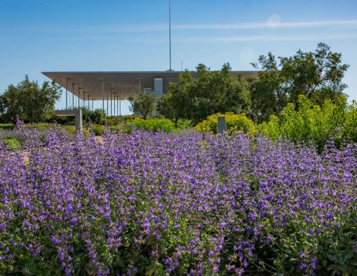 ΚΠΙΣΝ: Καλοκαίρι γεμάτο με συναυλίες με δωρεάν είσοδο