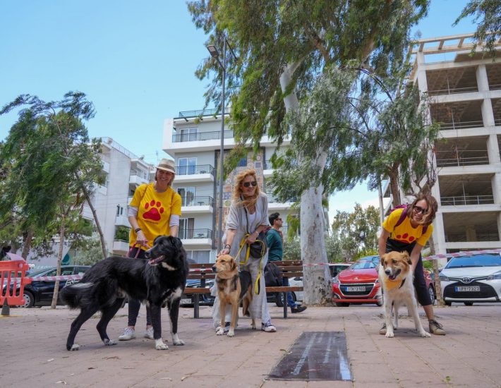 ΣΠΑΖ: Όσα συνέβησαν στην Ημέρα Υιοθεσίας Σκύλου στη Γλυφάδα