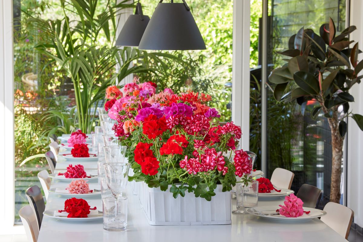 Λουλουδένια σκηνικά: Ιδέες για επιτραπέζιες και γιορτινές διακοσμήσεις με γεράνια