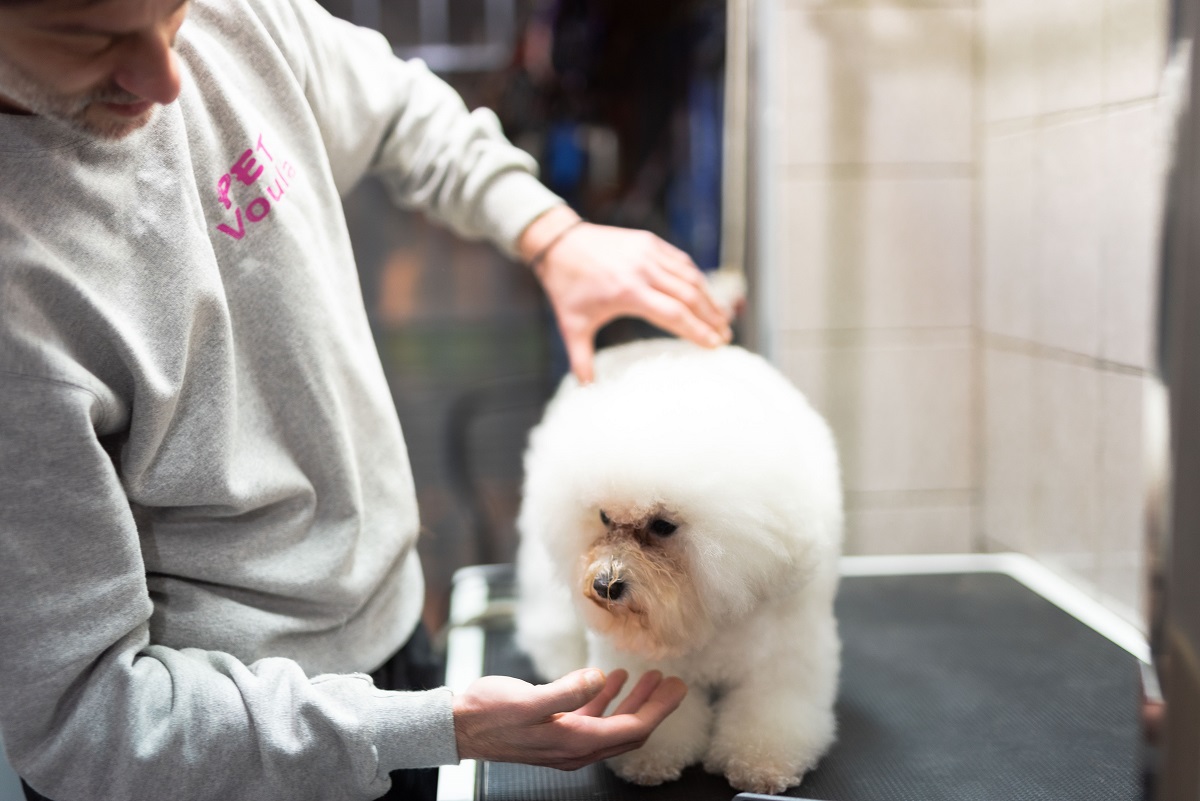 To Pet Shop Voula πάει το grooming του κατοικίδιου σου σε άλλο επίπεδο