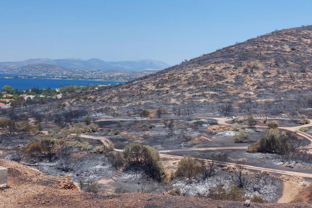 Φωτιά, Σαρωνίδα: «Φύγαμε από το σπίτι μας χωρίς να ξέρουμε αν θα το δούμε ξανά»