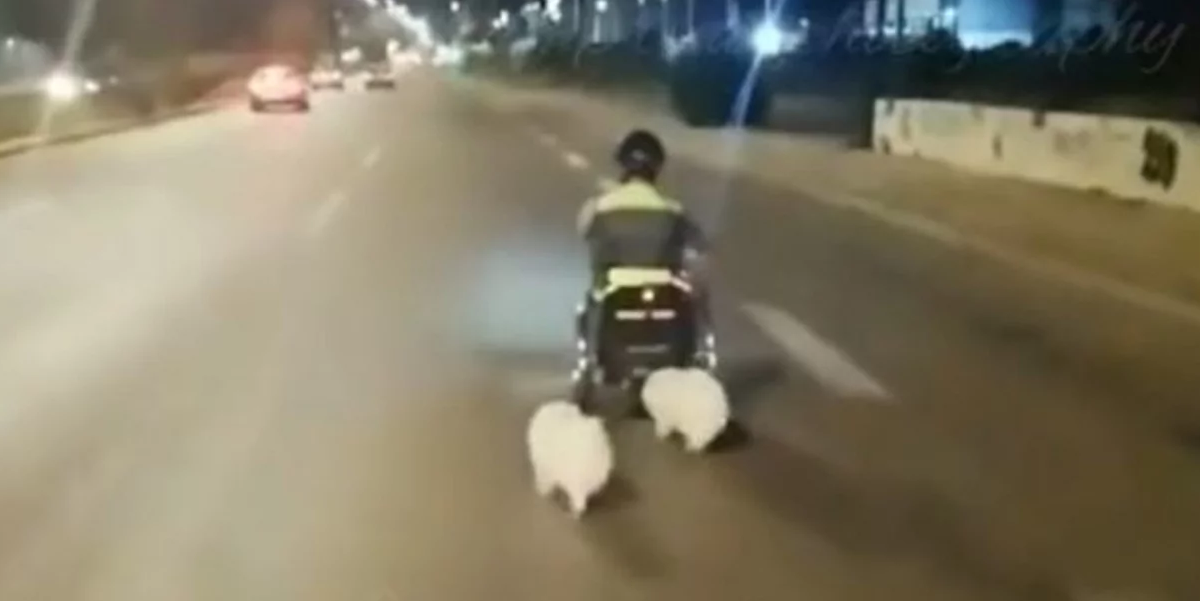 Τροχαίο στη Βάρκιζα: Πώς έγινε το συμβάν