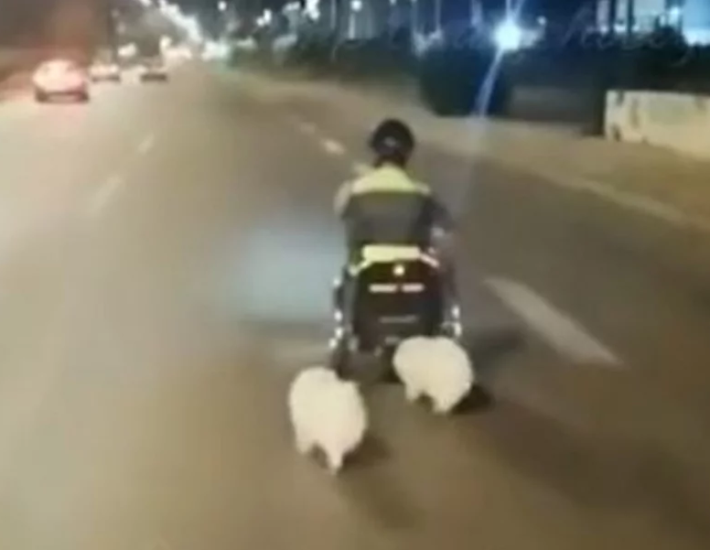 Τροχαίο στη Βάρκιζα: 87χρονος ο οδηγός που παρέσυρε και σκότωσε τον 40χρονο στο ηλεκτρικό αμαξίδιο