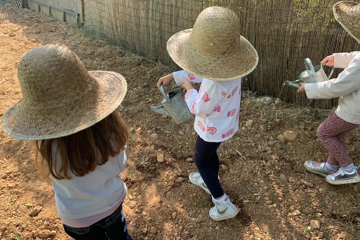 Λεόντειος Σχολή Νέας Σμύρνης: Φωτεινό παράδειγμα περιβαλλοντικής διαπαιδαγώγησης 