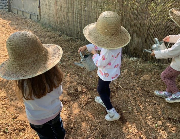 Λεόντειος Σχολή Νέας Σμύρνης: Φωτεινό παράδειγμα περιβαλλοντικής διαπαιδαγώγησης 