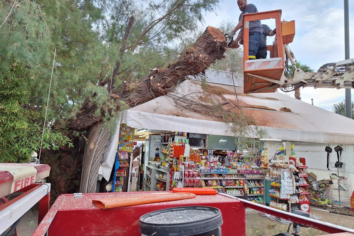 Βάρκιζα: Δέντρο έπεσε πάνω σε περίπτερο [ΕΙΚΟΝΕΣ]