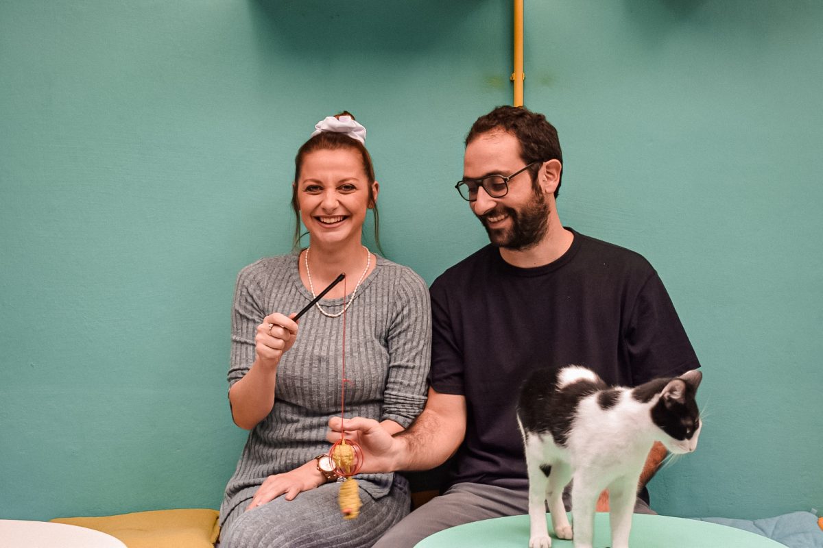 Η Ναταλί και ο Δημήτρης διοργανώνουν το πρώτο Cat Festival στην Ελλάδα