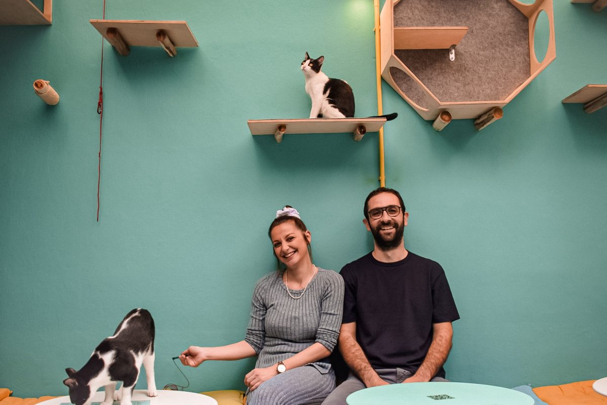 Επισκεφθήκαμε το πρώτο Cat Café της Αθήνας